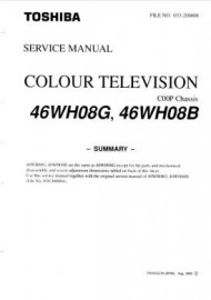 46WH08G Service Manual